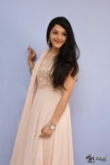 Mehreen at Krishna Gadi Veera Prema Gaadha Movie Thanks Meet